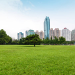 Land & Plots Guide: How to Make Smart Property Investments