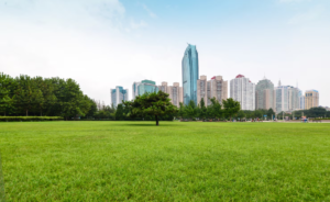 Land & Plots Guide: How to Make Smart Property Investments