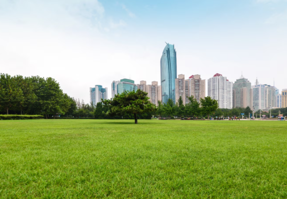 Land & Plots Guide: How to Make Smart Property Investments